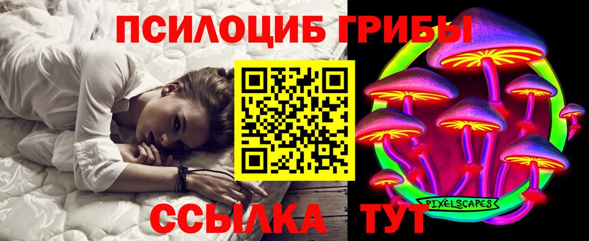 Междуреченск  Галлюциногенные грибы Cubensis  цена наркотик  Вход с VPN  Галлюциногенные грибы MAGIC MUSHROOMS 